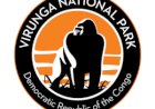 Reprise du tourisme dans le Parc National de Virunga