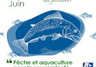 Nord-kivu-Goma-Vistumbi : L'absence des poissons dans le lac Édouard impact sur sa consommation dans la ville de Goma