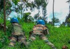 Nord-Kivu : La Monusco et la sécurité - Un dialogue crucial avec les journalistes