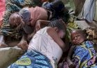 Photographier la crise sans trahir la dignité humaine : le défi quotidien des photojournalistes de Goma
