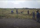 Nzulo : à Kabachana, la population retrousse les manches pour faire naître une nouvelle école