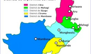 ITURI: NGUDJOLO serait le nom du chef de la milice qui insécurise Djugu, Mahagi et Irumu