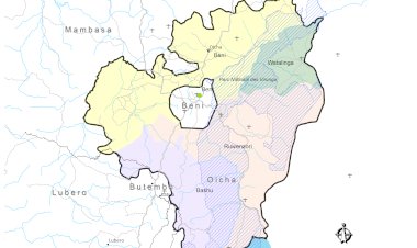 Beni: La société civile salue le couvre-feu effectué par les forces de sécurité