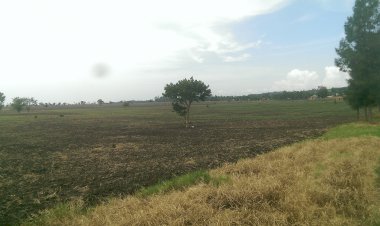 Rutshuru : Des bandits en arme tuent cinq personnes d’une même famille à Kiwanja