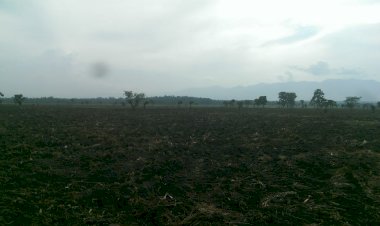 RUTSHURU : Un mineur meurt dans des affrontements entre deux groupes armés à Nyamilima