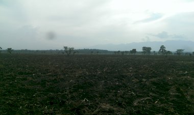 Rutshuru : Le Fdlr el Katulebe met en mal la quiétude des habitants de Binza