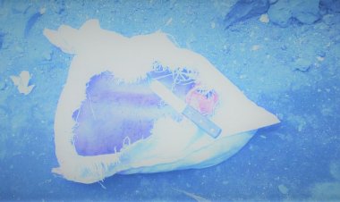 Goma : une partie d’un corps sans vie retrouver au quartier mabanga sud dans cette matinée