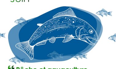 Nord-kivu-Goma-Vistumbi : L'absence des poissons dans le lac Édouard impact sur sa consommation dans la ville de Goma