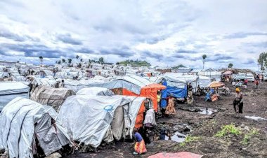 Situation alarmante et inhumaine des déplacés à l’Est de la RDC