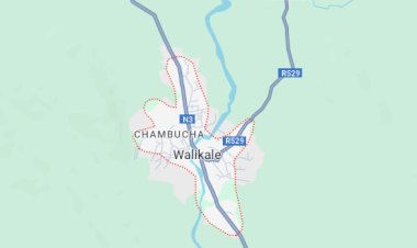 Walikale : Deux enfants foudroyés à Buleusa lors d'une pluie meurtrière