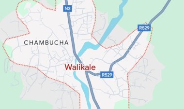 Walikale: la localité stratégique de Kalembe tombe aux mains des rebelles M23