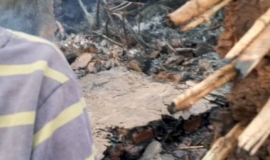 Attaque meurtrière de la milice CODECO à Djugu : le bilan s'alourdit, plus de 80 civils tués