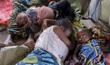 Photographier la crise sans trahir la dignité humaine : le défi quotidien des photojournalistes de Goma