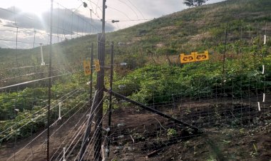 Kasindi : le dialogue entre riverains et le Parc des Virunga apaise les conflits autour des terres agricoles