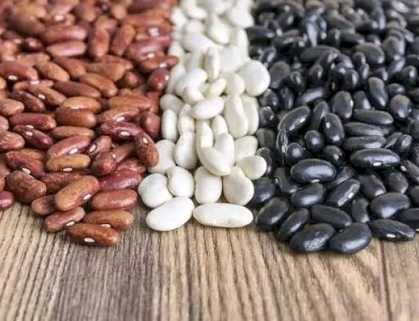 Rutshuru : l’abondance des haricots cache la détresse des paysans abandonnés