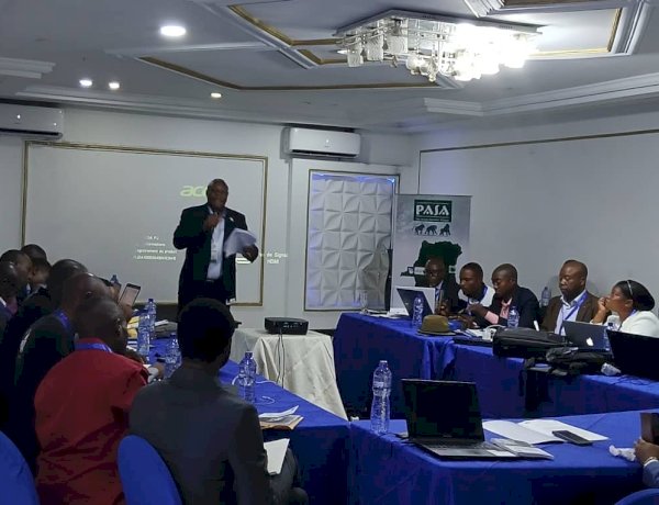 RDC : vers un protocole national de confiscation et de conservation ex-situ pour mieux protéger la faune sauvage