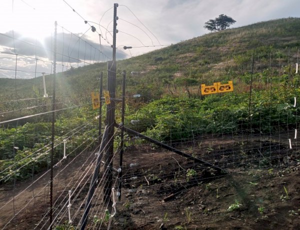 Kasindi : le dialogue entre riverains et le Parc des Virunga apaise les conflits autour des terres agricoles