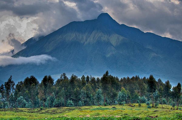 Défrichage route beni-kasidi : le maire et l’ICCN ne parlent pas le même langage