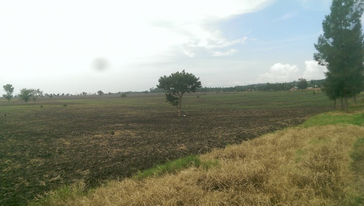 Rutshuru : Des bandits en arme tuent cinq personnes d’une même famille à Kiwanja