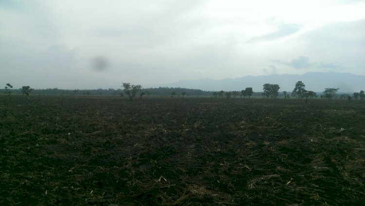 RUTSHURU : Un mineur meurt dans des affrontements entre deux groupes armés à Nyamilima