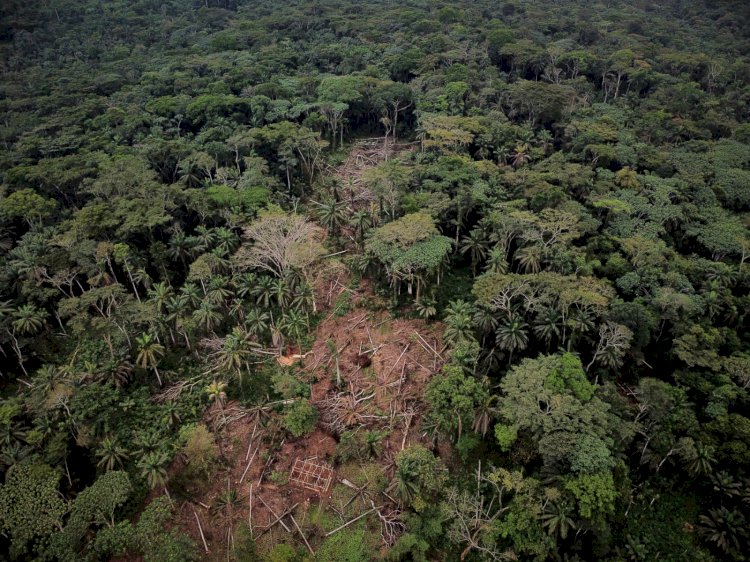 Nord-Kivu: « Un environnement sain peut stopper le développement des virus »