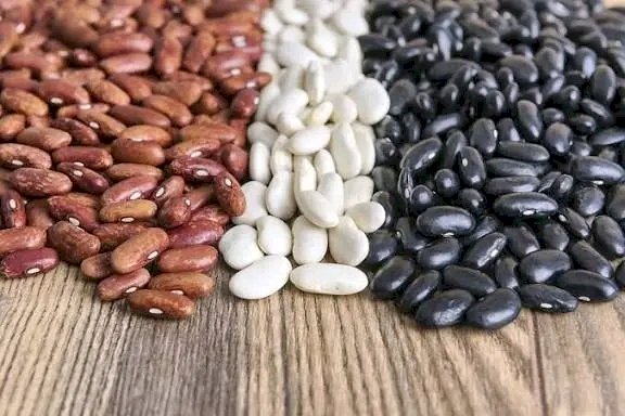 Rutshuru : l’abondance des haricots cache la détresse des paysans abandonnés