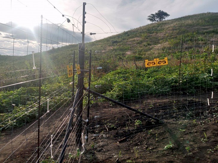 Kasindi : le dialogue entre riverains et le Parc des Virunga apaise les conflits autour des terres agricoles